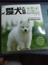 爱犬大联盟：大型犬