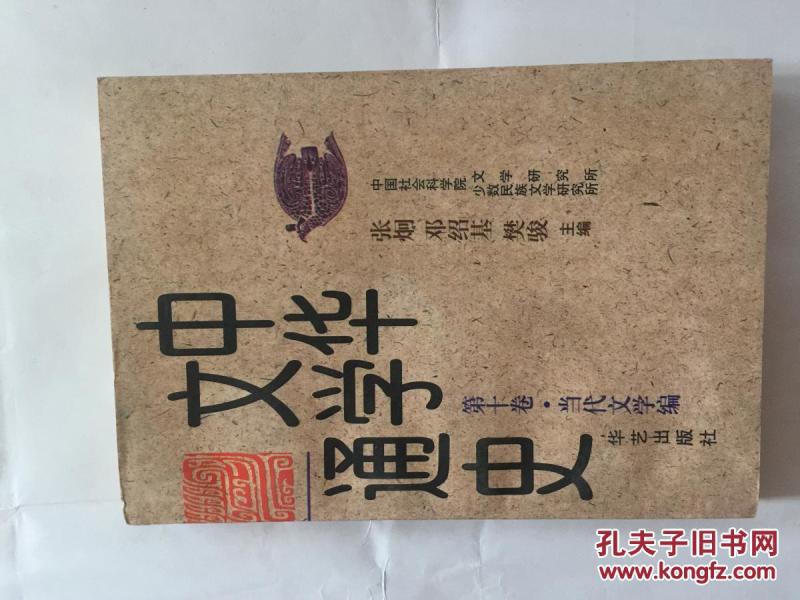 中华文学通史【第十卷】