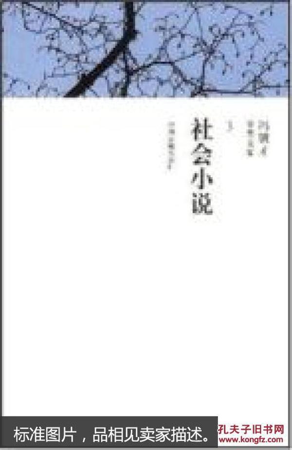 社会小说/冯骥才分类文集