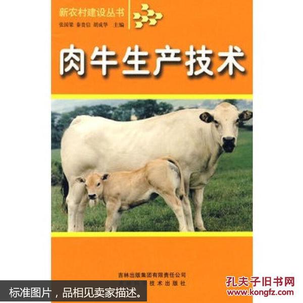 肉牛养殖技术书籍 肉牛生产技术