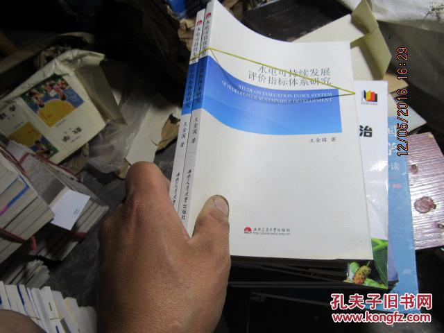 水电可持续发展评价指标体系研究 1088