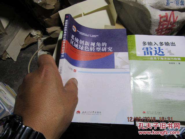系统创新视角的区域绿色转型研究  1066
