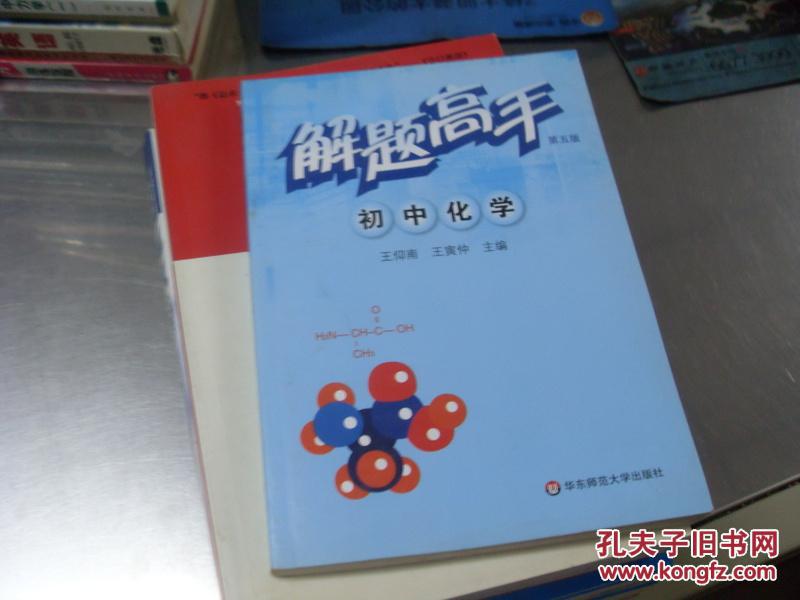 解题高手 初中化学 第五版
