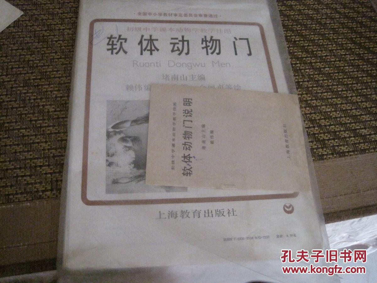 软体动物门（7幅全）