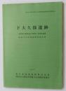 日文原版 考古类 財団法人群马県埋藏文化財调查事业団调查報告書第416集 下大久保遗迹 北関東自动车道（伊勢崎-県境）地域埋藏文化財発掘调查報告書 2007 （货架：KQC0624）