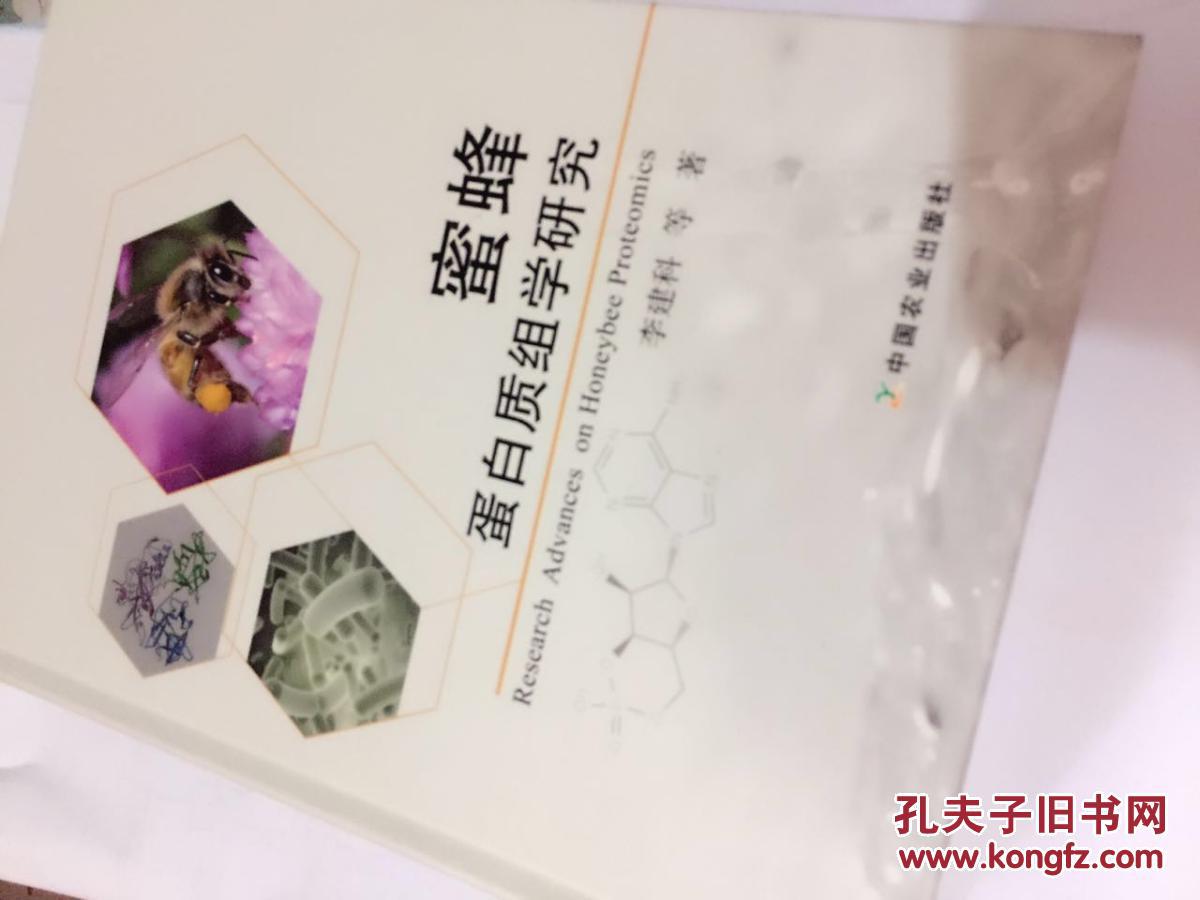 蜜蜂   蛋白质组学研究   25号3层