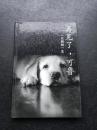 再见了，可鲁：一只狗的一生 硬精装 感动一亿亚洲人超级畅销书
