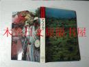 日本日文原版书 文化誌 世界の国8<全24卷>アフリカ 野间省一発行 講談社 1974年