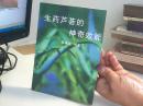 生药芦荟的神奇效能【代售】
