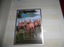 朝鲜邮票 外国邮票 亚洲邮票 小型张 小全张 朝鲜官方发行纪念珍稀动物梅花鹿小型张小全张两枚保真打包出售