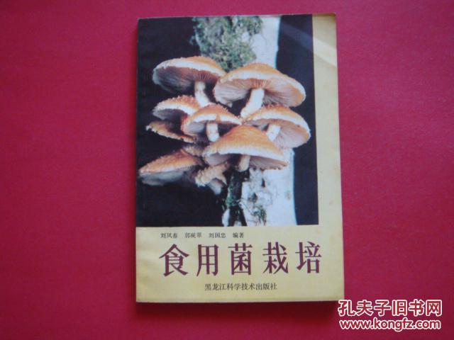 食用菌栽培