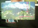 一组香格里拉明信片【中国风光明信片】（16张，见图）（未拆封）