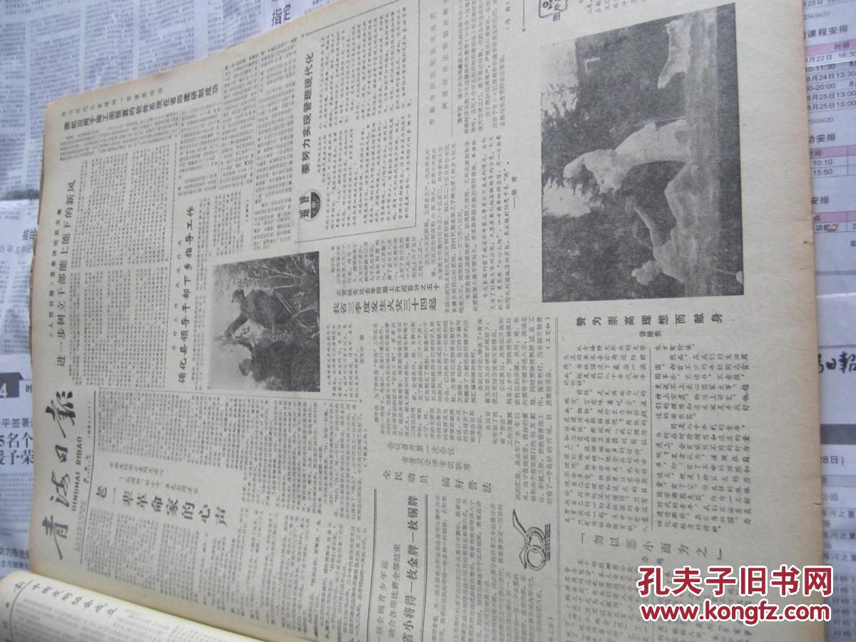 青海日报1985年10月18日