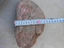 奇石摆件天然原石；观赏石花色石20厘米*12厘米*8厘米重约8市斤