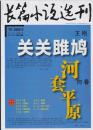 《长篇小说选刊》2012年第3期（王刚《关关雎鸠》向春《河套平原》）