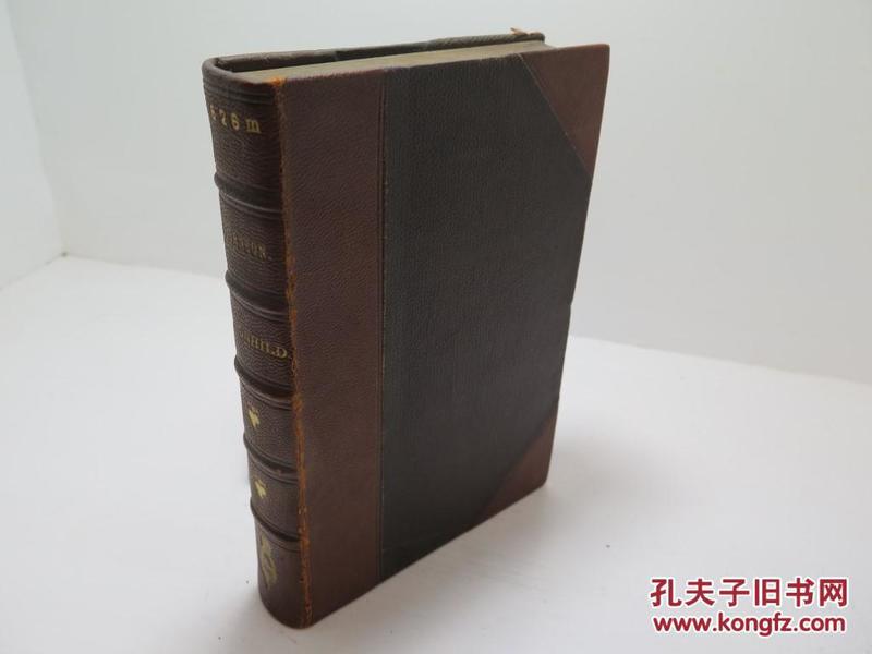 挪威戏剧家、诗人、小说家比昂松著《梅根茜尔德Magnhild》 精装1884年伦敦出版