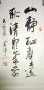 现代著名书法家余臣涛书法（保真）