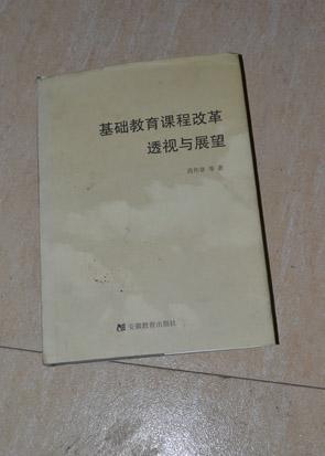 基础教育课程改革透视与展望
