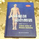 人体解剖彩色图谱（第2版）主编：郭光文 王序 人民卫生出版社