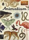 Animalium (Welcome to the Museum)