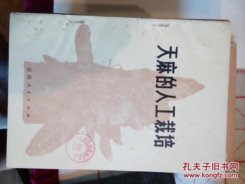 天麻的人工栽培