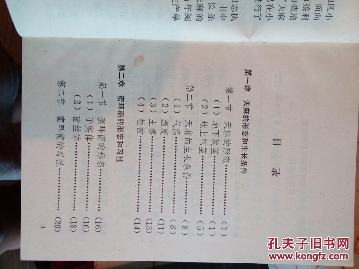 天麻的人工栽培