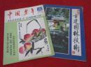 各种期刊创刊号 试刊号 共1582本不重复合售 详见描述