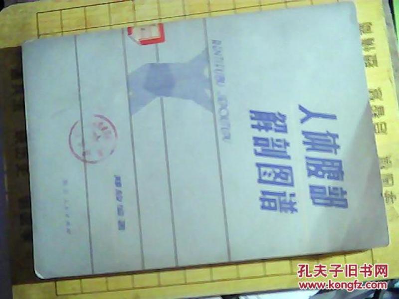 人体腹部解剖图谱  （馆藏）