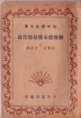 民国书：初中学生文库《动物标本简易制作法》插图本   （全一册）民国三十年一月出版。