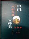中国少数民族大辞典 傣族卷 上下册