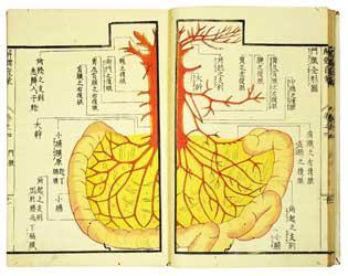 解体发蒙 全5册/三谷朴（笙州）/原版/有些虫蛀//1813年