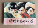 野蜂出没的山谷，82年一版一印发行183900册9品缺本学校图书馆藏书