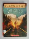 witness   目击者