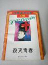 毁灭青春（一版一印）