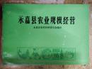 【永嘉县农业规模经营——规模经营汇总表、粮食生产规模经营、林业生产规模经营....】