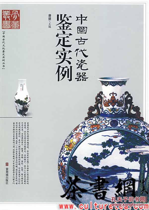 茶书网：《中国古代瓷器鉴定实例》 （中国古代文玩鉴定实例丛书）