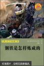 世界少年文学经典文库:钢铁是怎样炼成的 奥斯特洛夫斯基 9787534253201