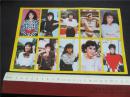 怀旧经典上世纪80年代港台明星人物黄边贴纸~米雪大版。