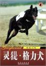 下司犬格力犬养殖技术教程 灵(犭是)•格力犬(快如闪电) 1书1光盘