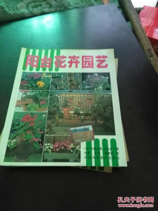 阳台花卉园艺