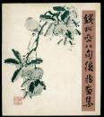 钱松喦八旬后指画集【7.500册】