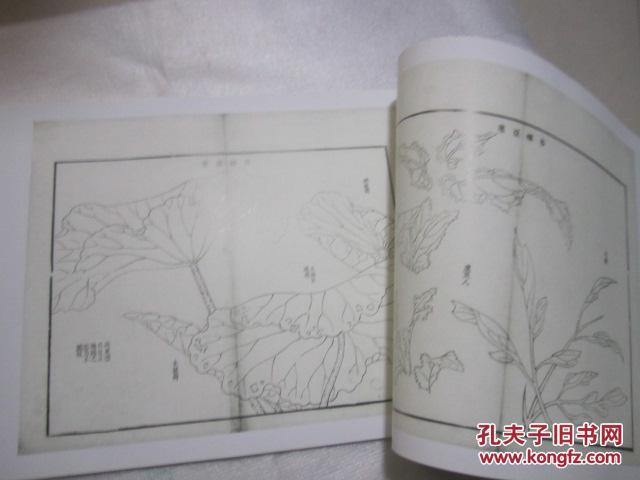 芥子园画传 草虫花卉谱 康熙本彩版系列 国家图书馆特藏 铜版精印