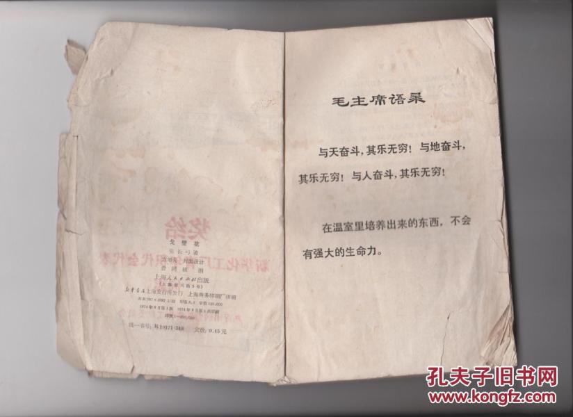 戈壁花
