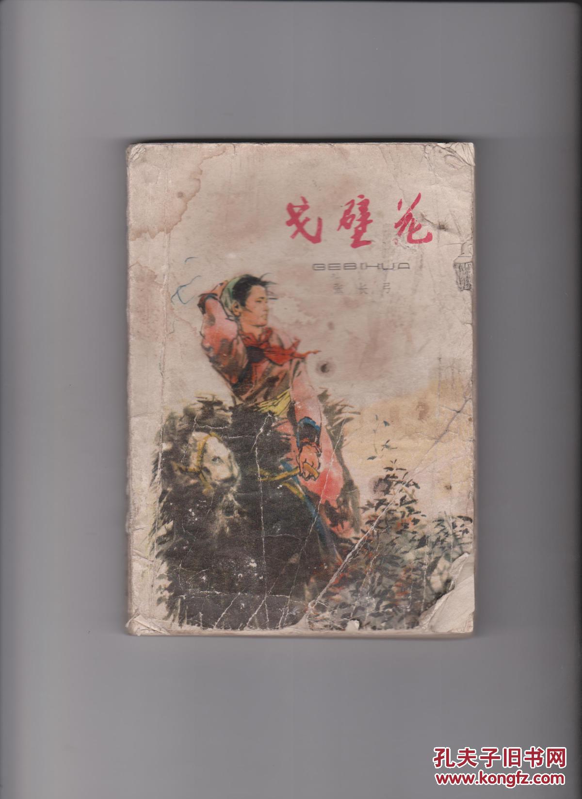 戈壁花