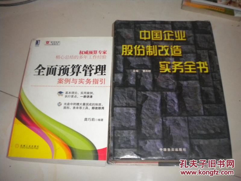 中国企业股份制改造实务全书  16开精装