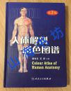 人体解剖彩色图谱（第2版）Colour Atlas of Human Anatomy