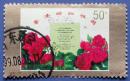 1997-10，香港回归祖国 2-1鲜花--早期邮票甩卖--实物拍照--永远保真--店内多--满100包邮