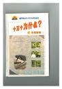 十万个为什么--家庭生活（1-3）、文化艺术（1-3）、伦理道德（1-3）、自然科学（1-3）共12册