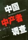 中国中产者调查