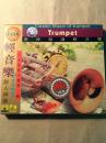 浪漫情调轻音乐 月光清泉小号第二辑（私人藏品1998年24K金VCD）